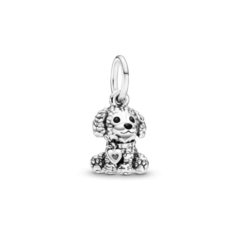 Charm Poodle